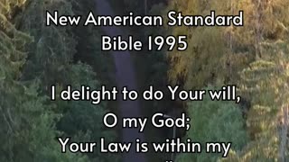 Psalm 40:8