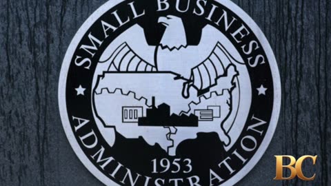 Federal probe targets alleged Minnesota Somali fraud ‘network’ as COVID-aid crime rings persist