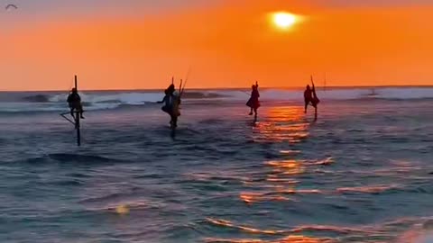 This is Heaven! 🌅 Stunning Sri Lanka Beach & Sunset + Traditional Fishing 🐟