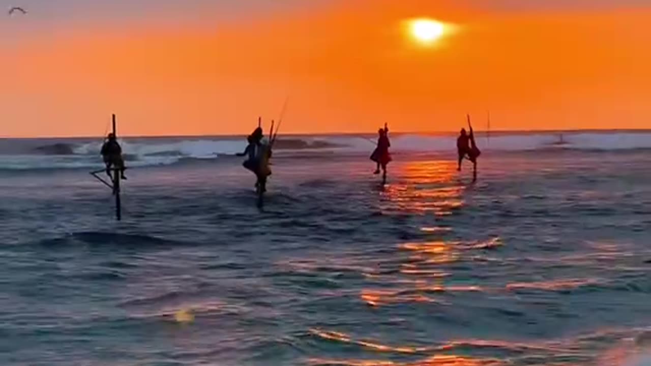 This is Heaven! 🌅 Stunning Sri Lanka Beach & Sunset + Traditional Fishing 🐟