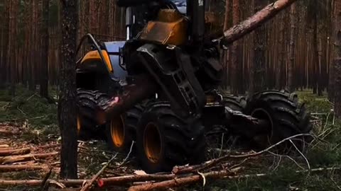 Wild outdoor 🚜 Mechanization Logging 🦾 Bald head strong 👩‍🔧Four-wheel drive off-road