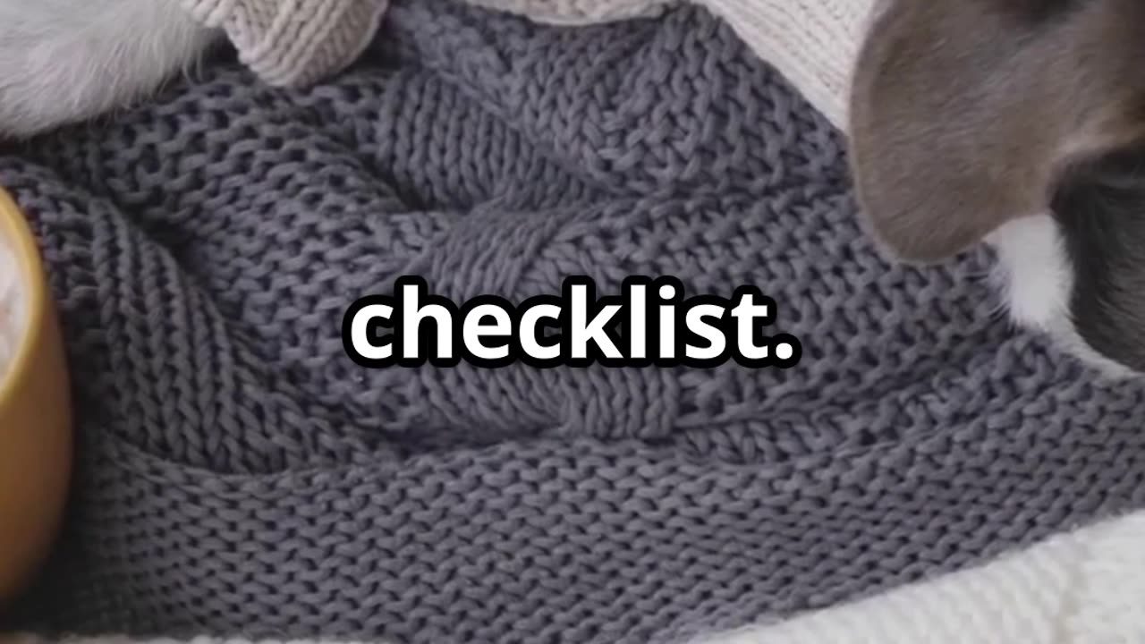 🍂 Autumn Pet Care Essentials Part 1