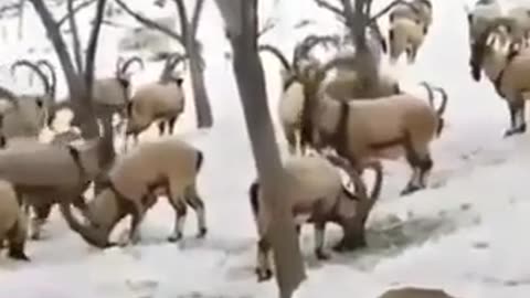 Beautiful nature
