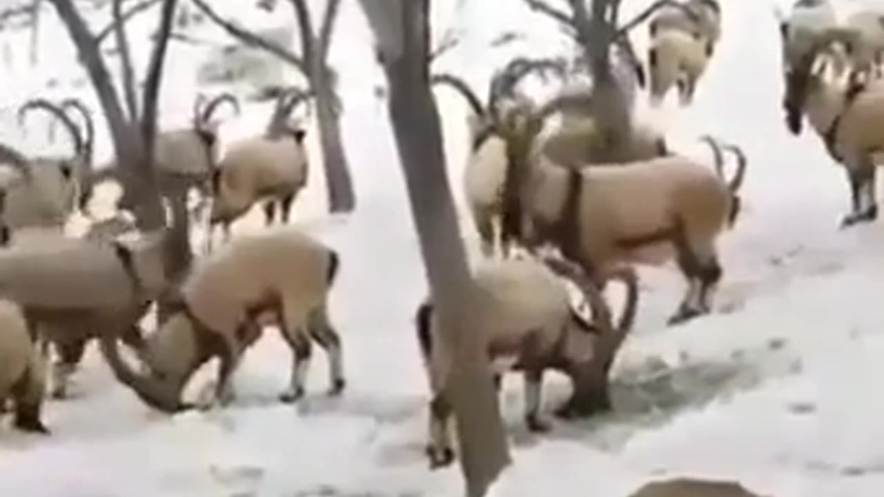Beautiful nature