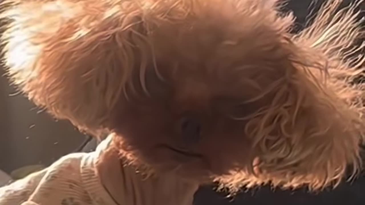 😨👽 Alien Entity Caught on Camera! | TheHauntingHour