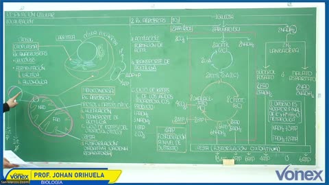 VONEX SEMIANUAL 2025 | Semana 06 | Biología
