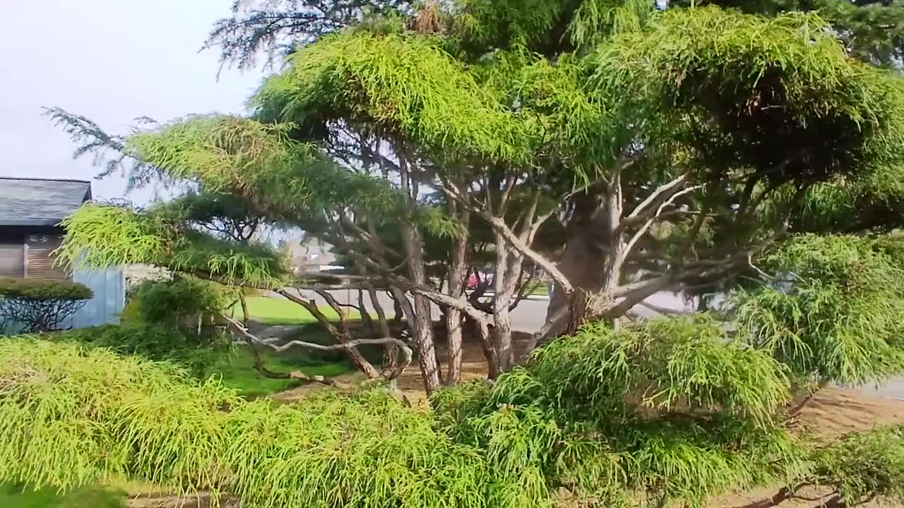 https://youtu.be/V9szK4qrHXc?si=MlPzpj_uDy3nOkt1