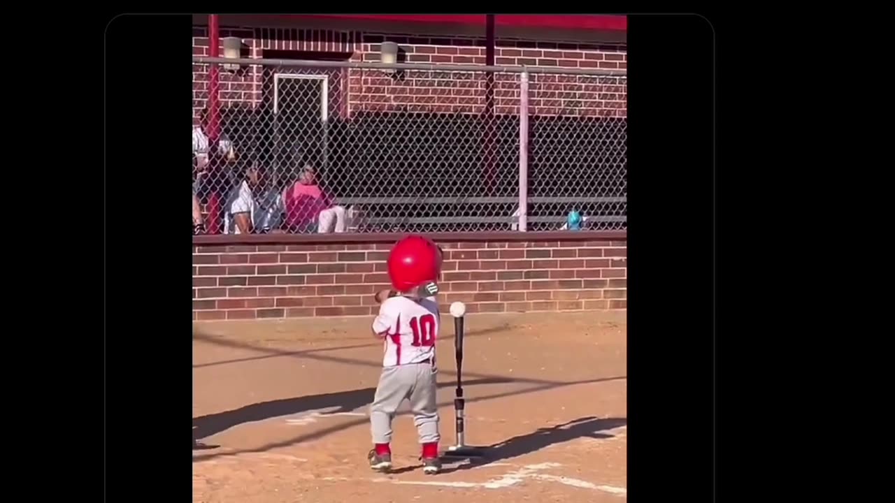 Timeline Cleanse • by DP • 10-16-2025