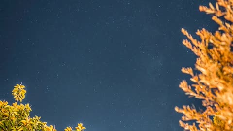 Daily Horoscope | Sagittarius 🌟