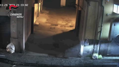 Pomigliano d'Arco (NA) - Camorra. Focus su gruppi criminali (10.02.25)