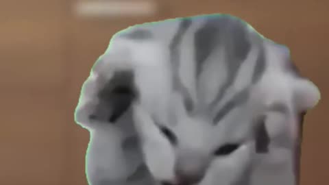 High People Thoughts