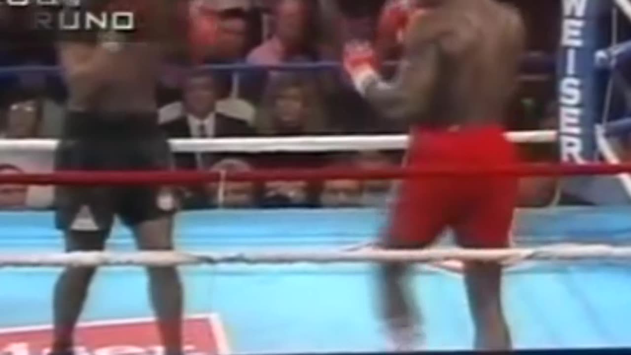 Mike Tyson vs Frank Bruno