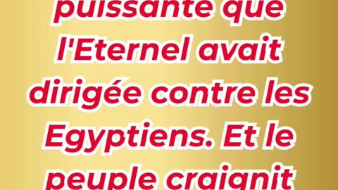 « Israël met sa confiance en Dieu » Exode 14:31.#shortvideo #shorts #youtubeshorts #ytshorts #reels