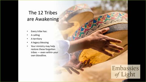 Kingdom Missions Without Permission Synopsis