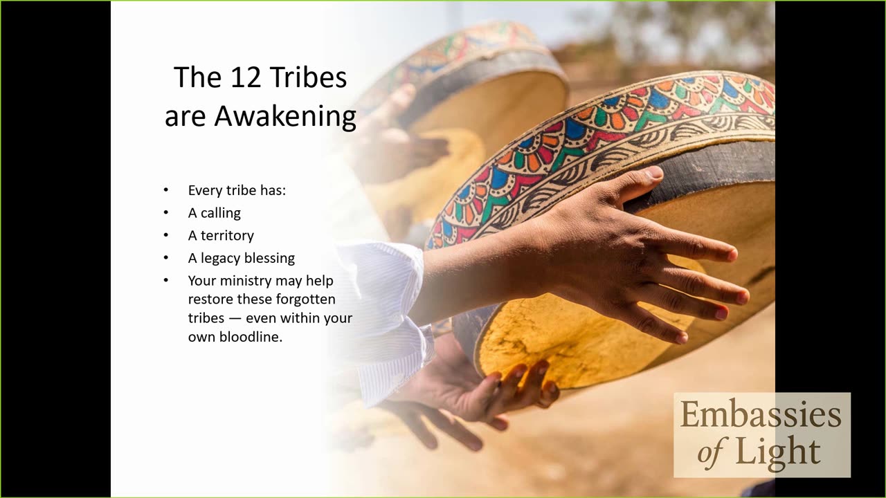 Kingdom Missions Without Permission Synopsis