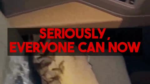 The Secret Revealed: Mighty Travels PREMIUM's Process for Affordable Luxury