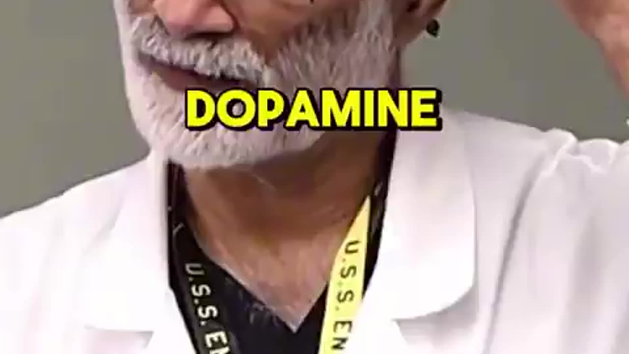 Dr. Reveals: why you're always hungry