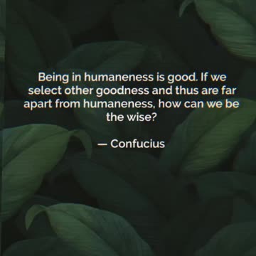 Your Qoute For A Day 102