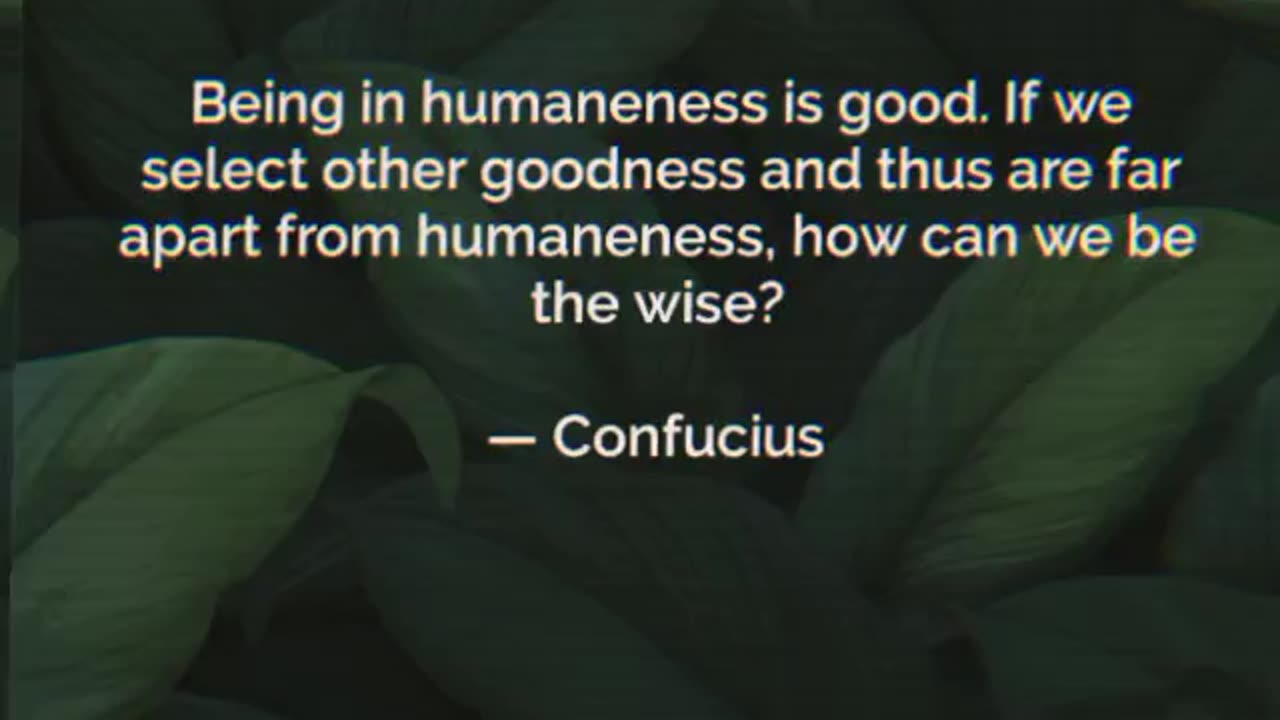 Your Qoute For A Day 102