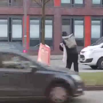 Left-wing terrorists are destroying AfD election posters in German cities.