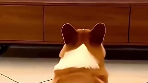 Destruction due to bad company