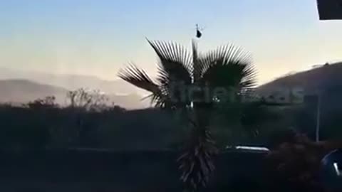 A Major Operation Is Underway Near Culiacán, Sinaloa, as Mexican Military Hits Cartel