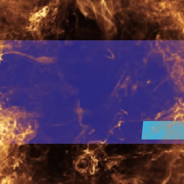 🦜💻🌐 Join Cocco the parrot as he shows off his awesome website to his friends! 🌐💻🦜