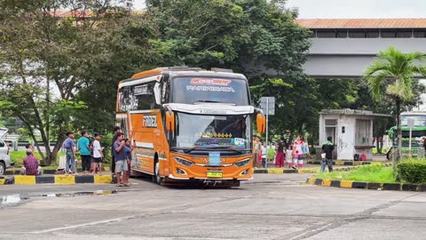 Very nice tourist bus horn sound