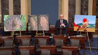 'DEI FOR OWLS': Senator Kennedy Absolutely SHREDS Department of Interior for Owl Murder Plot