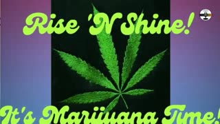 Rise N Shine! It's Marijuana Time! Daily at 7am et
