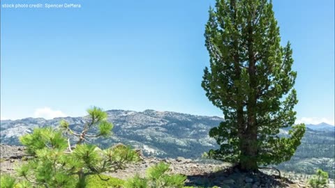 🔬👽 Dr. Garry Nolan Exposes New Mexico UAP Debris Field Controversy | TheTruthAbove