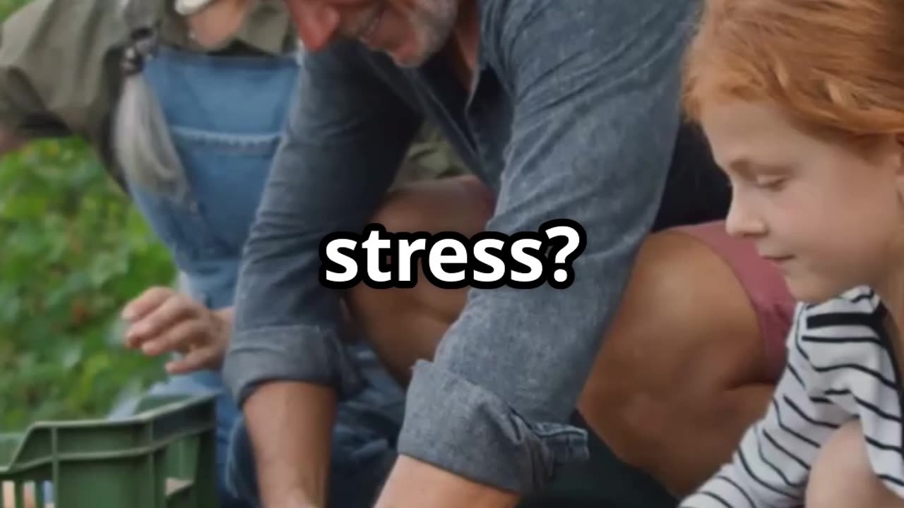 5 Ways Life is Better Off the Grid