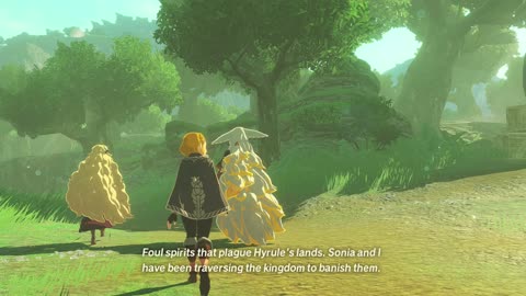 Hyrule Warriors: Age of Imprisonment Nintendo Switch 2 30 / 60 FPS Gameplay