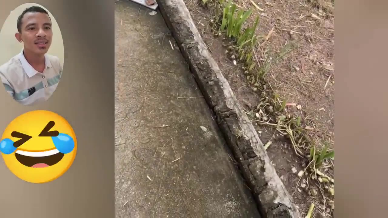 Reaction Edition! Instant Regret Crazy & Funniest