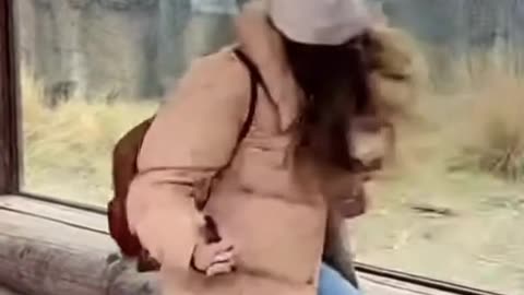 Woman Scared By Lion At Zoo