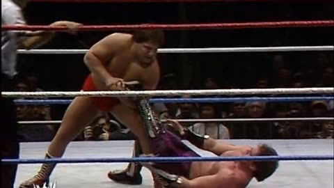 Brutus beefcake vs. David Sammartino