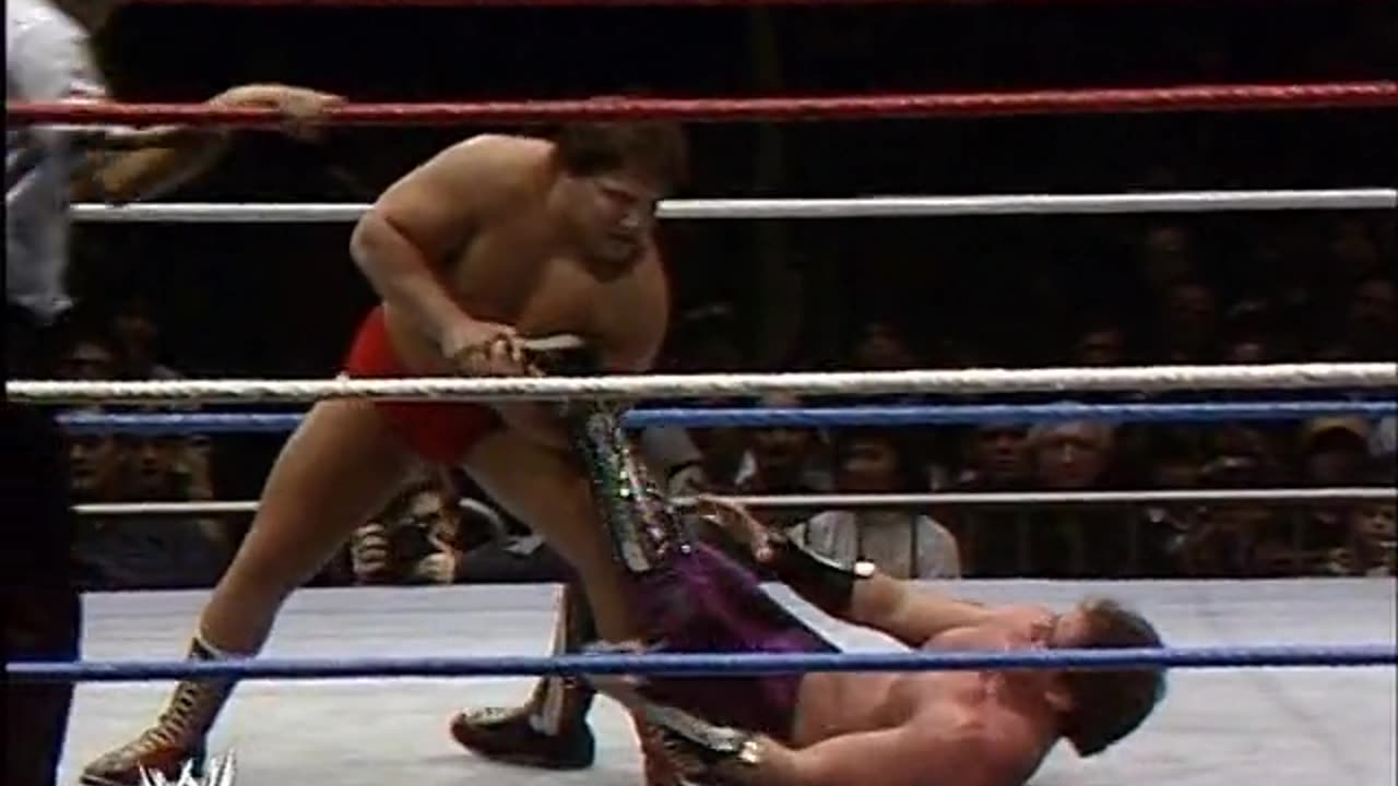Brutus beefcake vs. David Sammartino