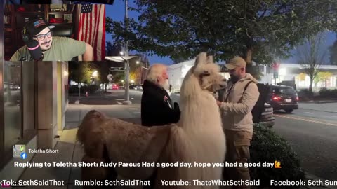 #TommyBoi Got To Pet An #ANTIFA Lama At #Portland #ICE #Protest On Last Nights #LIVE