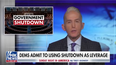 Trey Gowdy: Dems want to use your pain as leverage