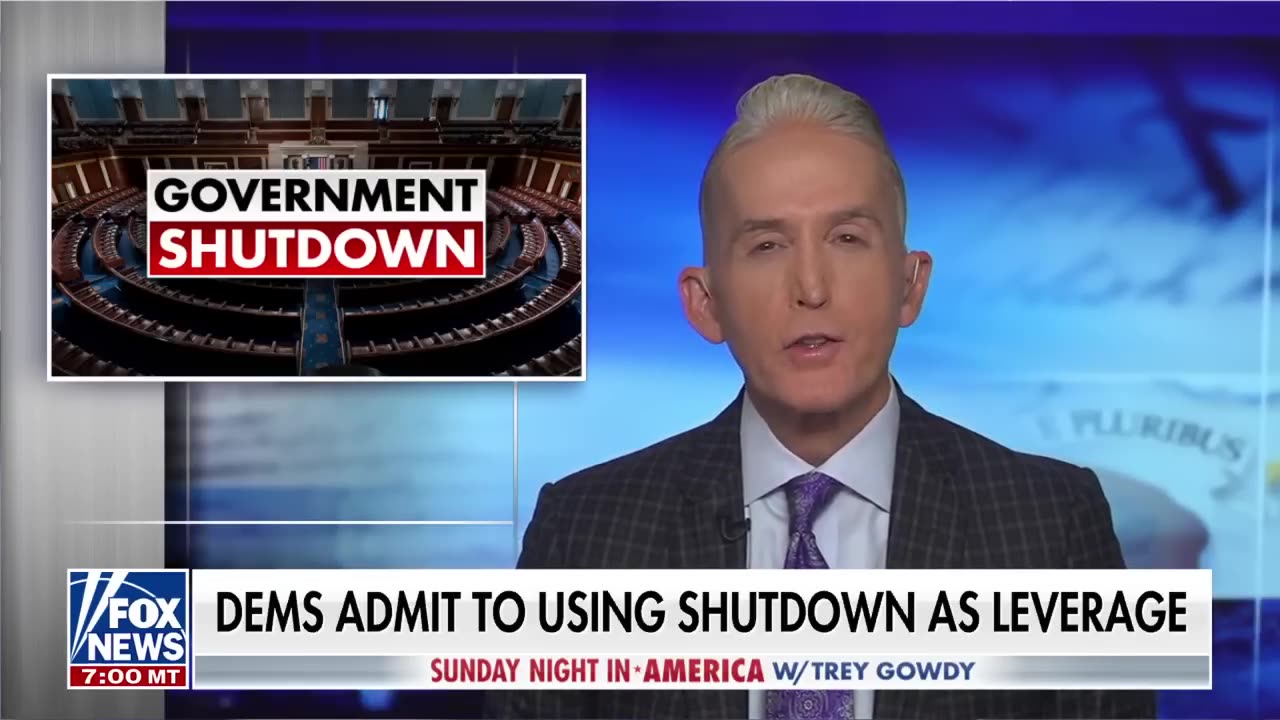 Trey Gowdy: Dems want to use your pain as leverage