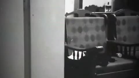 😱👽 The Scariest Streak Hunter Footage Ever! | TheHauntingHour