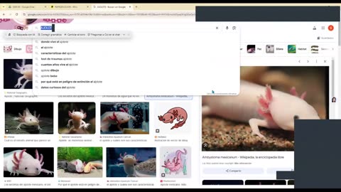 SAVIA REPASO 2025 - 2 | Semana 04 | Anatomía