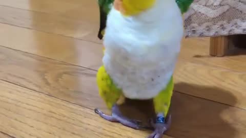 Style in motion