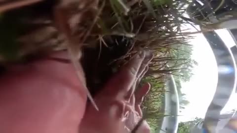 🤯😨 You Won't Believe How This Biker Gets Caught! | FeedMyCuriosity