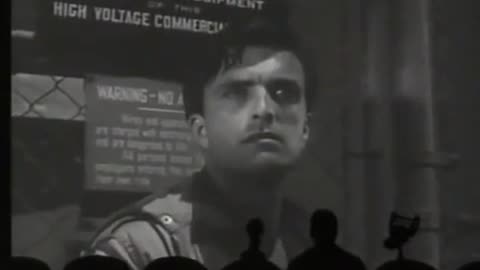 This Has Steve Written All Over It