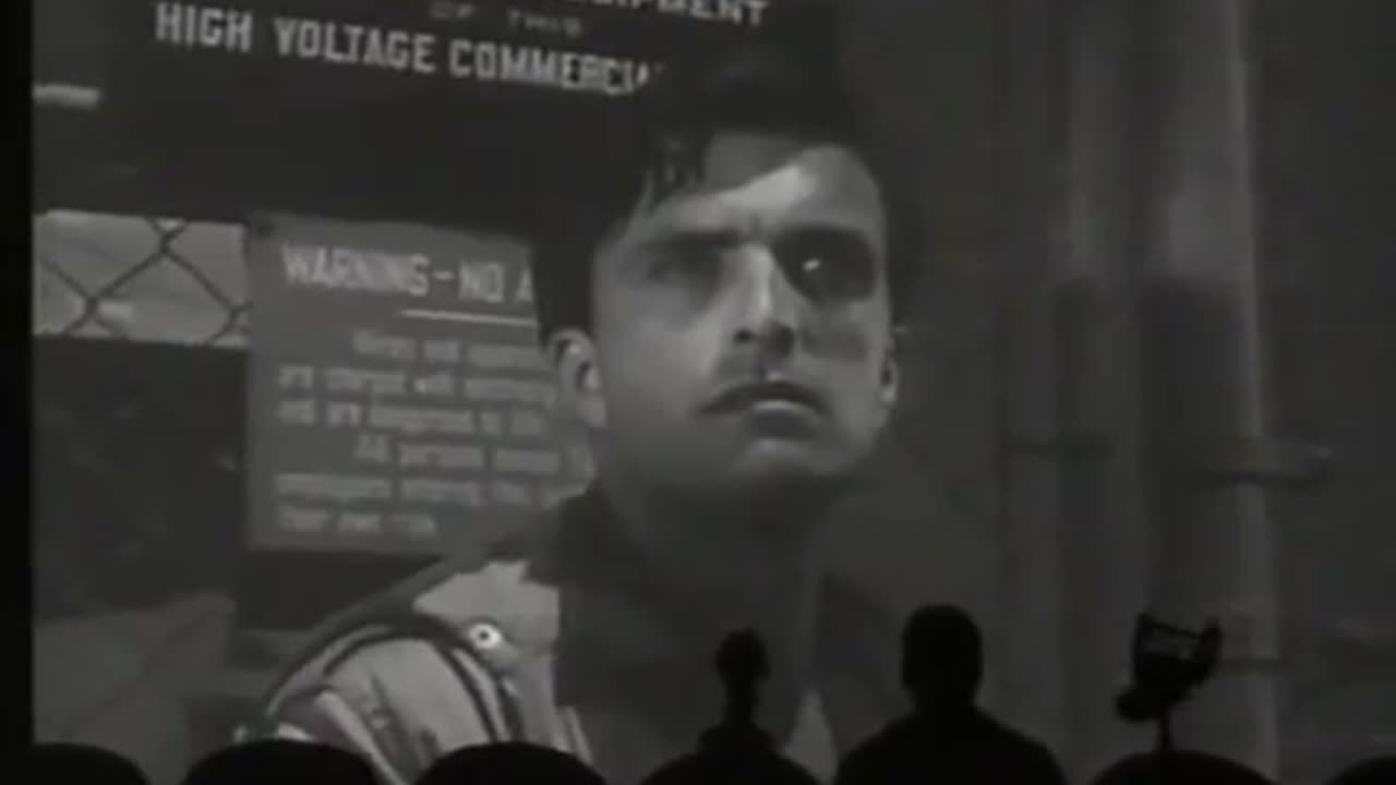 This Has Steve Written All Over It