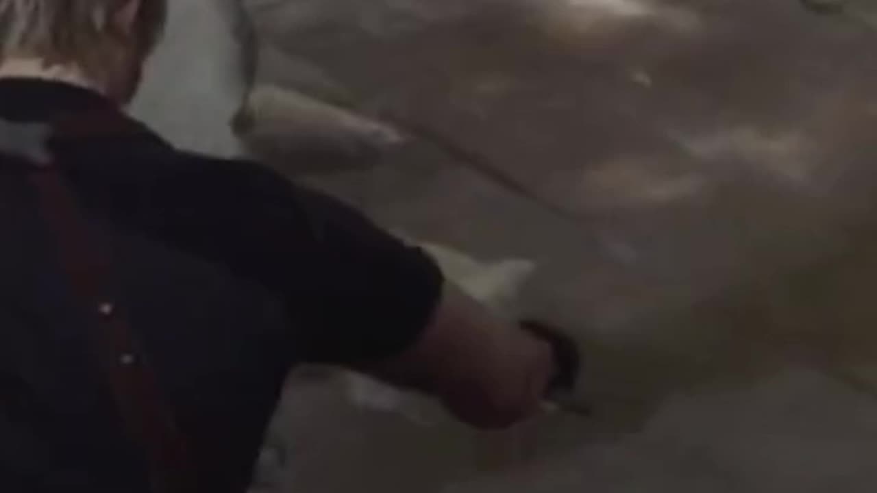 McDicken. Zombie Hunter? Ep. (3)? I'll be back for you.