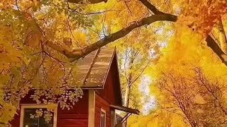 Romantic pictures Romance