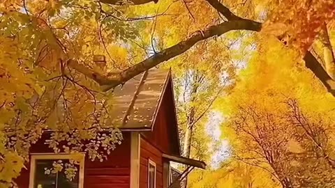 Romantic pictures Romance