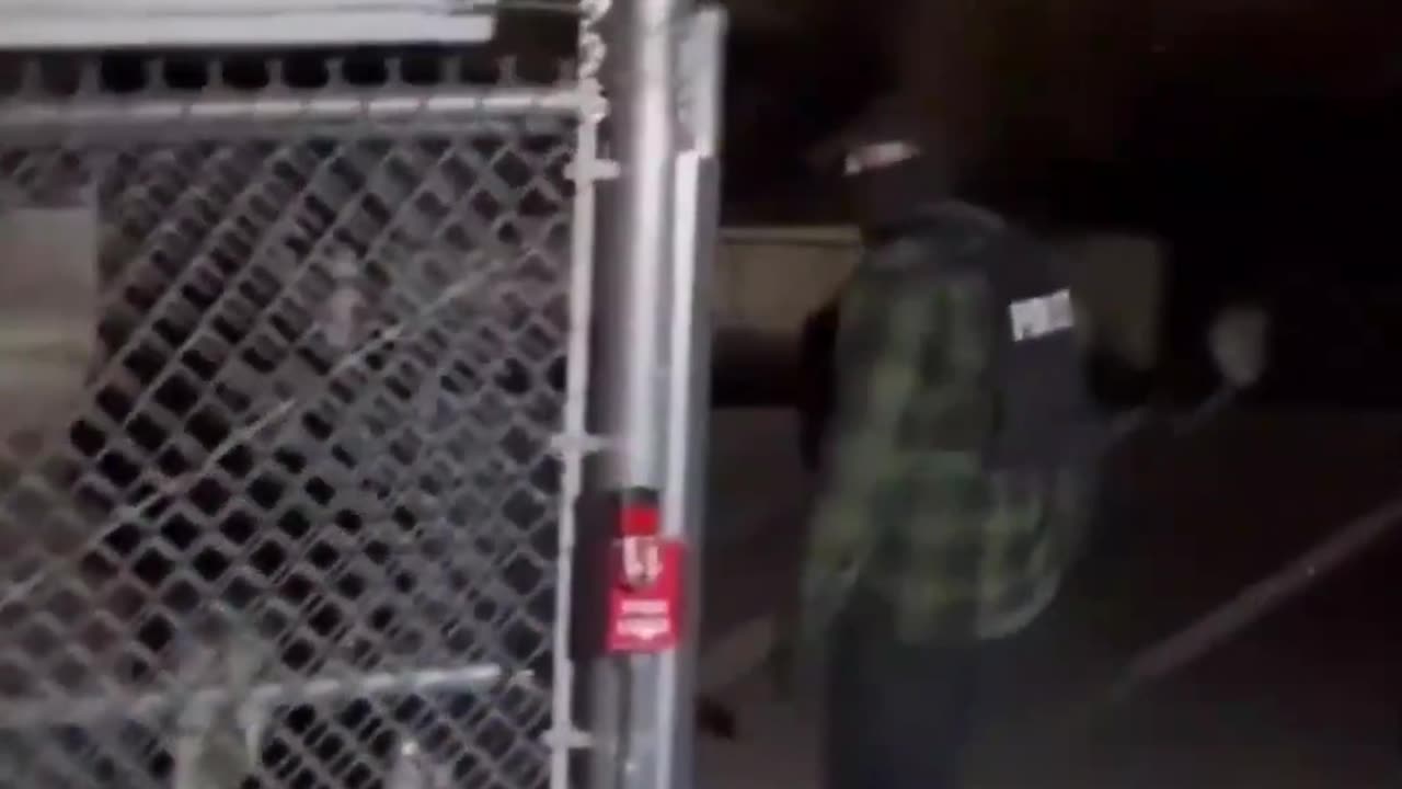 Insane woman attacks ICE